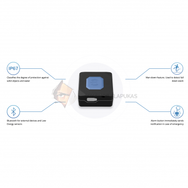 TMT250 Teltonika GPS seklys 2